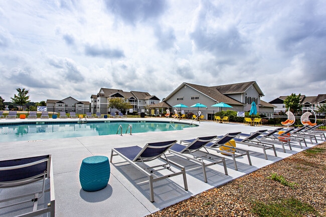 University Village at Clemson - University Village at Clemson Apartments
