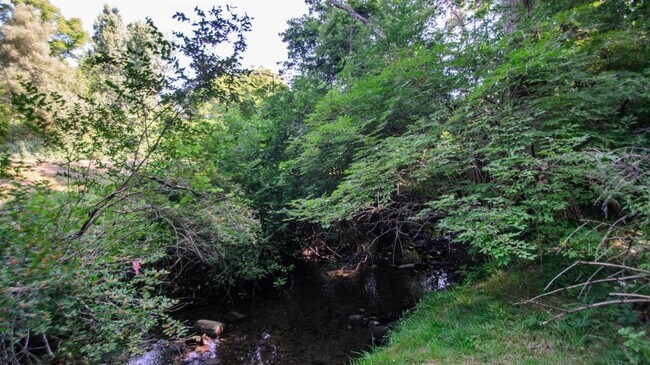 trasero - 1301 Jones Dr