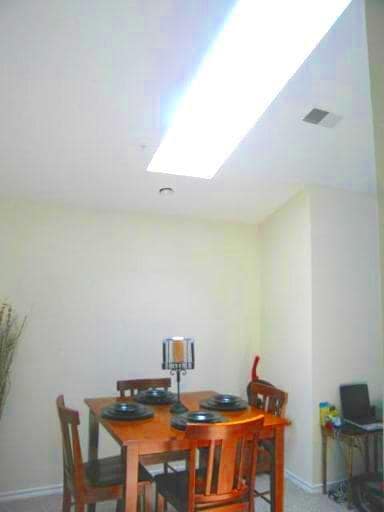 Skylight in Dining Area brings in lots of light! - 9902 Boysenberry Way