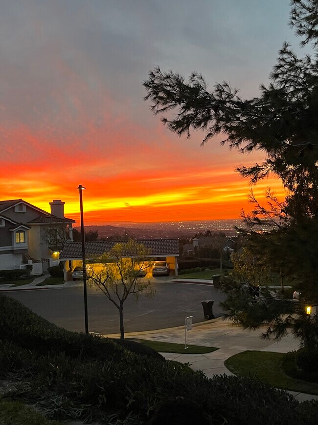 Foto del edificio - 1031 S Daybreak Ct