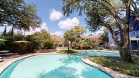 Located at 5900 Ranchester St in Houston's 77036 corridor, this single-story property makes a striking first impression both inside and out. The exterior showcases a resort-style swimming pool with a freeform design, surrounded by mature oak, pine, and palm trees that provide generous shade and a lush, tropical ambiance. Stone landscaping borders and a perimeter fence complete the well-maintained outdoor setting.

Inside, the interior is defined by bold, vibrant color choices — vivid green walls paired with yellow ceilings and yellow-trimmed accents — creating an energetic and distinctive atmosphere. The main area features vaulted ceilings with skylights that draw in abundant natural light, complemented by decorative red Chinese lanterns suspended overhead. A classic brick fireplace anchors one wall, while large windows and red French doors offer views of the surrounding greenery and connect seamlessly to the outdoors.

The space is thoughtfully arranged to serve both as a welcoming lounge and a functional office. The lounge area includes leather seating and a glass-top coffee table, while the office area is equipped with multiple workstations. Decorative Asian-inspired artwork — including large ornamental plates, framed paintings, and an oversized crane motif piece — adds cultural character throughout. Light tile flooring runs across the entire interior, tying the space together with a clean, cohesive finish.
