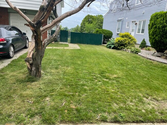 Front yard - 29 Monroe Pl
