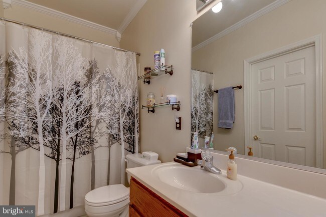Building Photo - 1303 Sandwort Ct