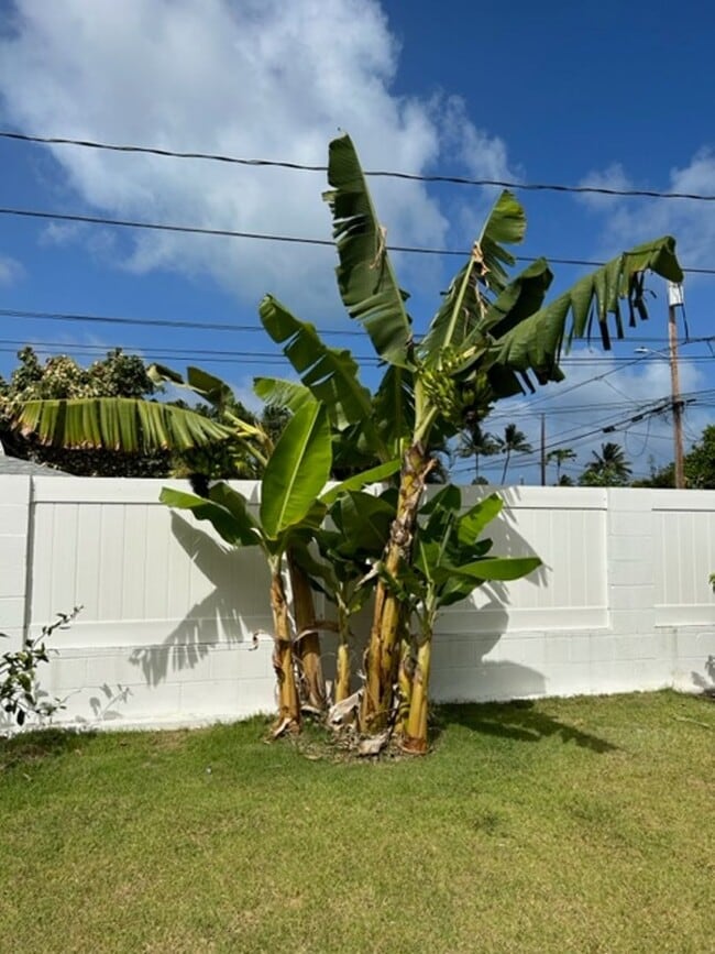 Foto del edificio - Available on 12/16/25, spacious 1570 sq ft, 3 Bedrooms, 2 Baths, 2 Car Garage Single-Family Home ...