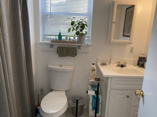 Foto del edificio - 229 Ann St