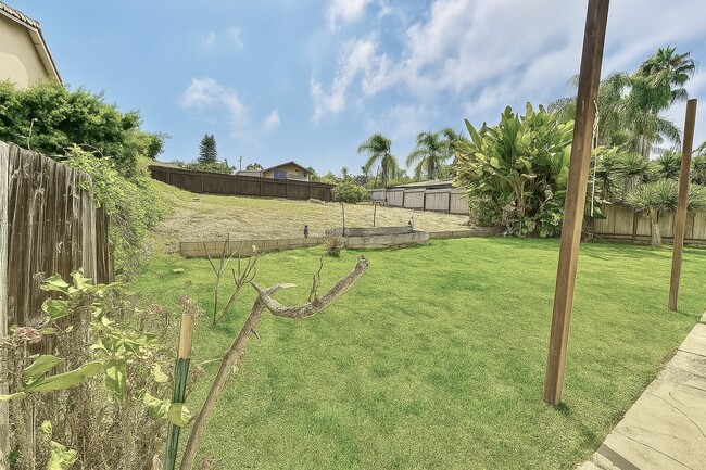 Huge Back yard - 781 Saxony Rd