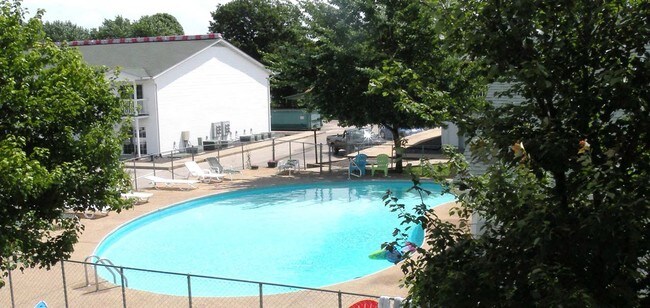 Piscina - Godzilla Investments