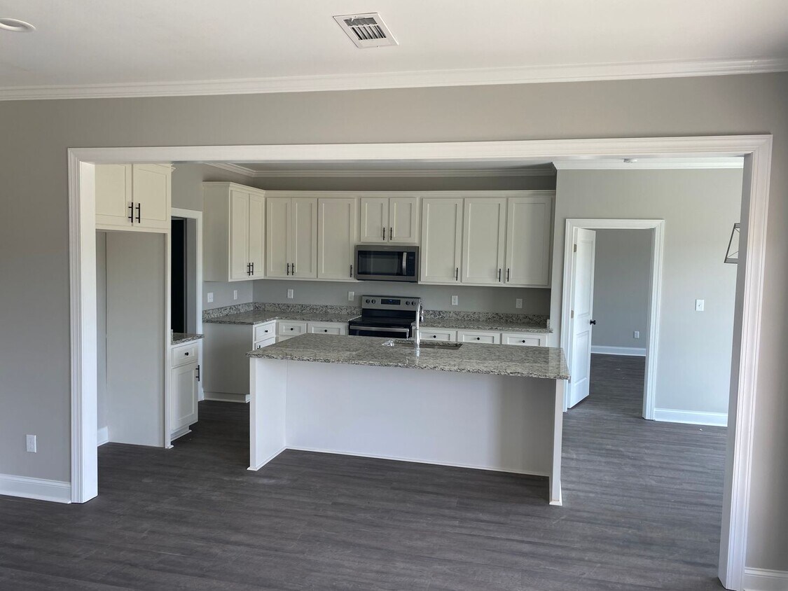 Primary Photo - Brand New Construction- Lee County, GA