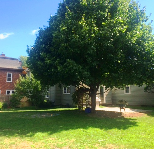 Spacious Yard/Patio - 78 Atlantic St