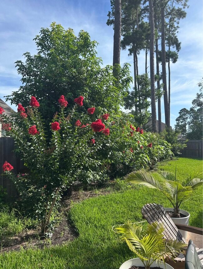 Building Photo - 322 Fanpalm Ct