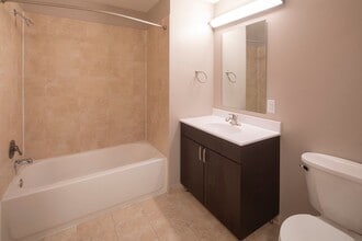 Interior Photo - The Atrium @ Anderson Station: In-Unit Washer & Dryer, Cold Water Included, Fitness Center, and C...