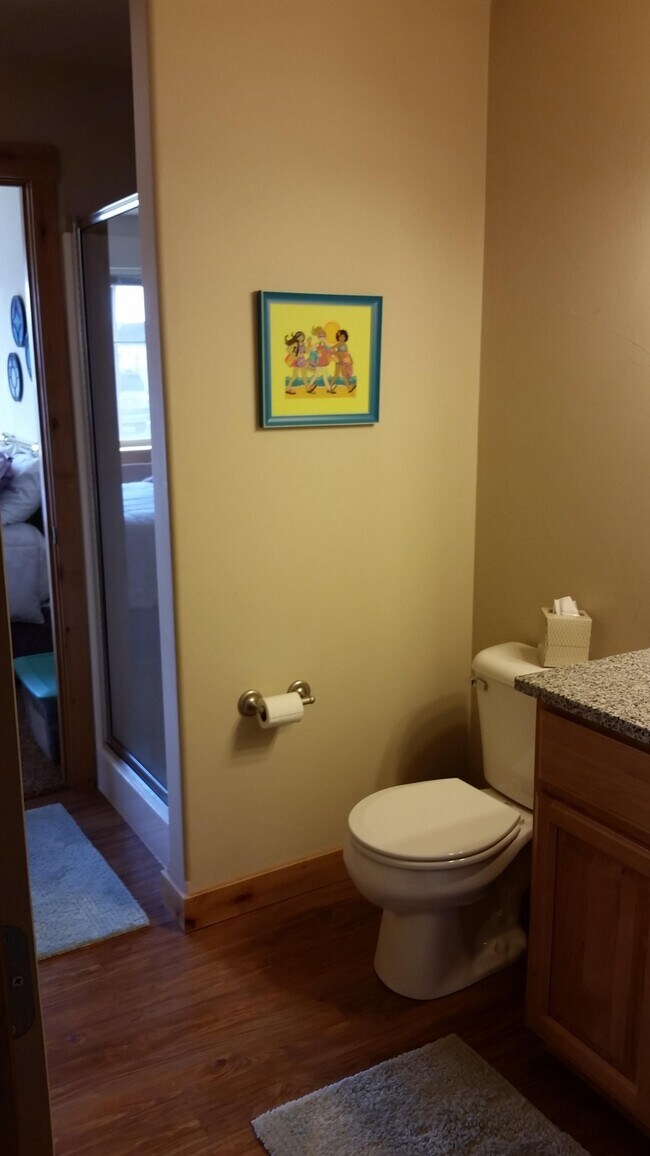 BATHROOM 1 - 244 S Cottonwood Rd