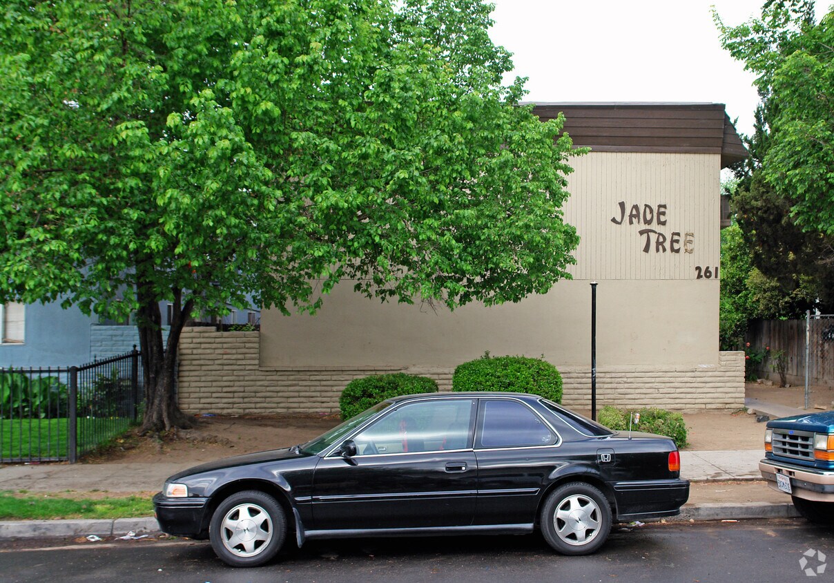 Primary Photo - Jade Tree