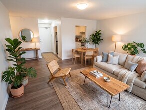 Building Photo - Sandwich Street Apartments
