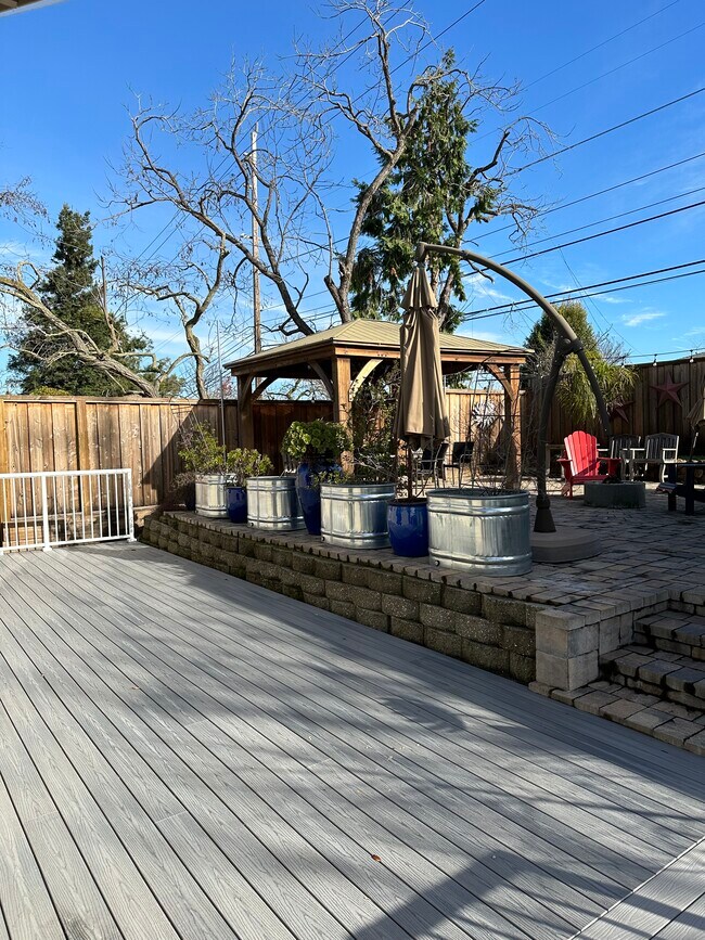 Backyard - 2353 Vera Ave