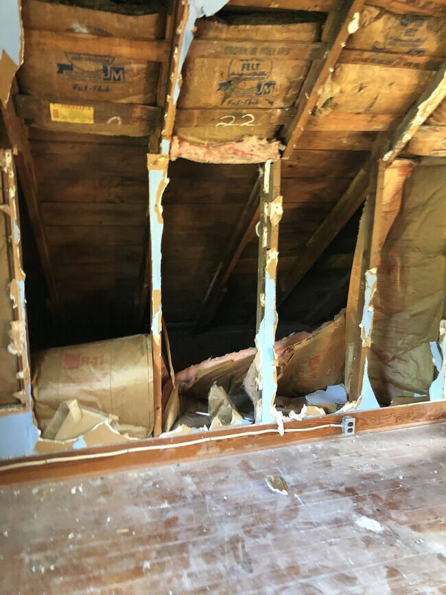 Building Photo - 125 Scheidinger St