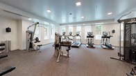 This fitness center is thoughtfully designed to support a full range of workout routines within a clean, modern environment. The space is divided into distinct functional zones, each tailored to a specific type of exercise. The cardio area features a generous row of treadmills, elliptical trainers, and stationary bikes — including both upright and recumbent models — positioned along large windows that invite abundant natural light and views of surrounding greenery, creating an airy and motivating atmosphere. A multi-purpose cable machine by Inspire anchors the strength training section, complemented by a varied selection of selectorized machines targeting major muscle groups. The free weights zone is equipped with a full rack of dumbbells and adjustable benches, allowing for versatile strength and conditioning exercises. Large mirrors are strategically placed to maximize the sense of space and support proper form. The flooring throughout is durable, carpet-toned material well-suited for a fitness environment. Recessed ceiling lighting ensures the entire space is evenly illuminated. A separate room with wood-framed glass doors provides additional privacy for focused training. The overall ambiance is professional, bright, and well-maintained, reflecting a facility designed with both functionality and comfort in mind.