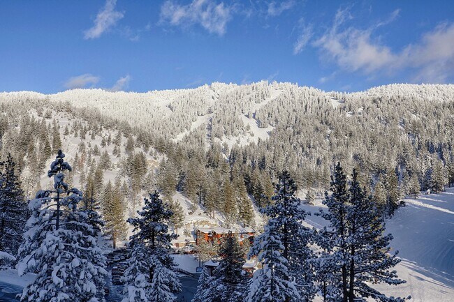 Building Photo - Gorgeous Lake View Condo