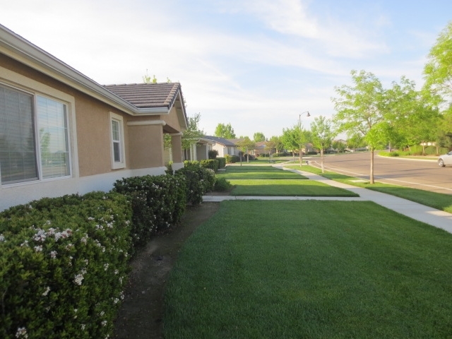 Building Photo - Courtyard at Del Lago