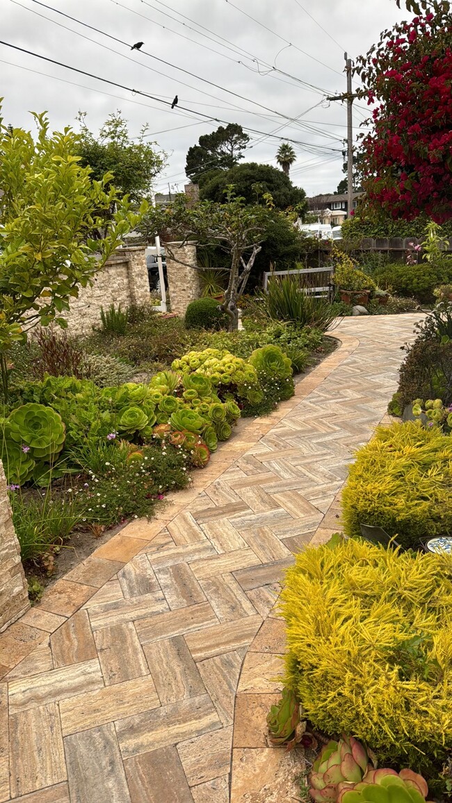 Pathway/Garden - 746 Newton St