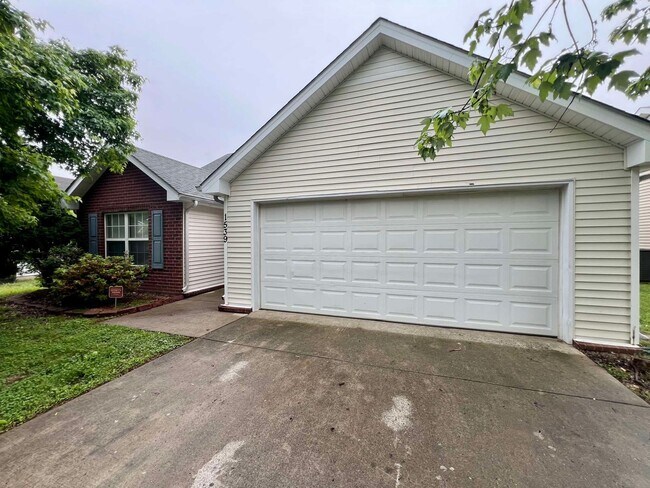 Building Photo - 3x2 West Murfreesboro*One Level*Deck*Ready...