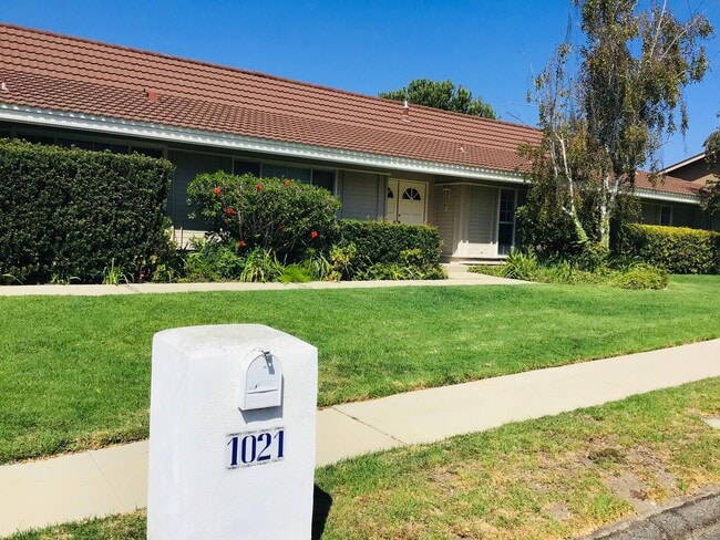 Building Photo - 1021 Trueno Ave
