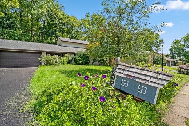 Building Photo - A Nature Lover's Dream Home!