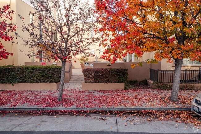 Entrada - 1705 Palm Ave