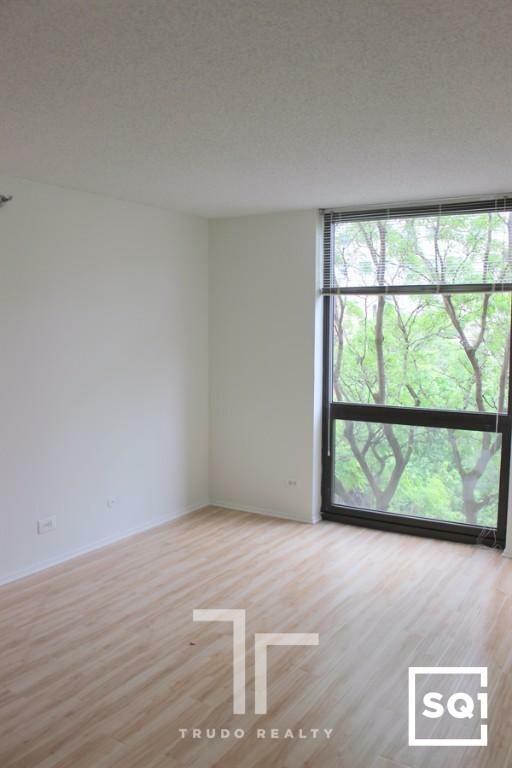 1000 LaSalle Blvd Unit 319, Chicago, IL 60610 - Condo for Rent in ...