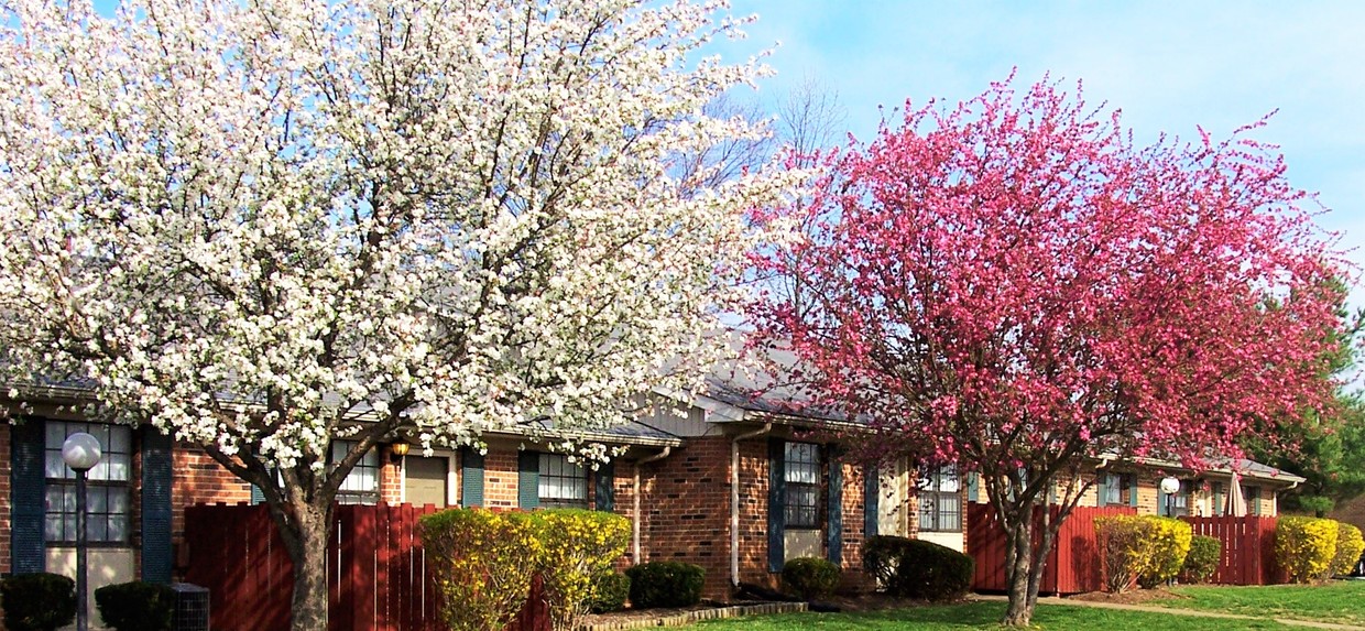 Primary Photo - Stones River Apartments