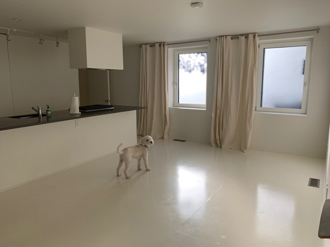 Cute pets welcome! - 165 Gates Ave