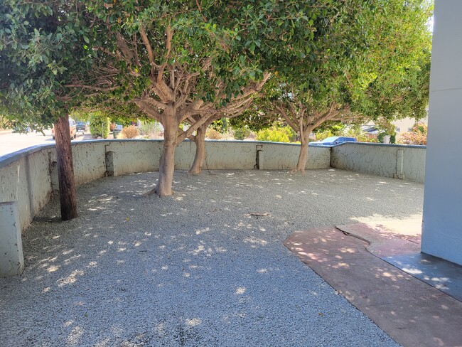 Large Private Gated Yard - 3175 Elm St