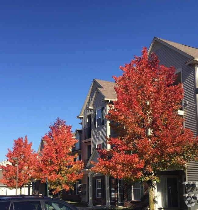 1 Bedroom Apartments for Rent in Holly Township MI 6 Rentals