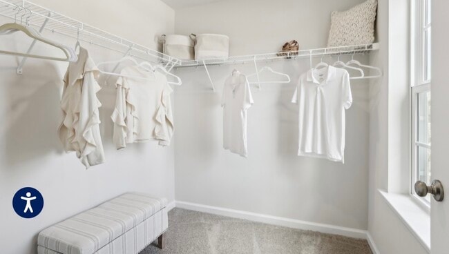 Building Photo - 151 Corolla Dr