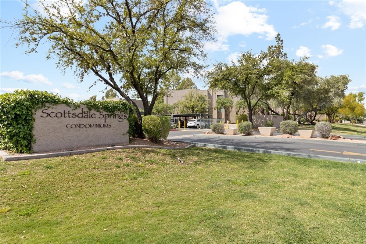 Spectacular Scottsdale Springs! - Spectacular Scottsdale Springs!