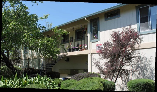 Boris Garden Apartaments - Boris Garden Apartments