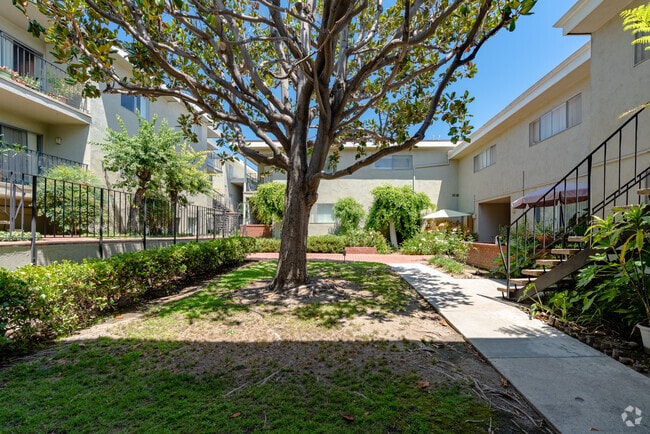 Courtyard - 6335 Comstock Ave