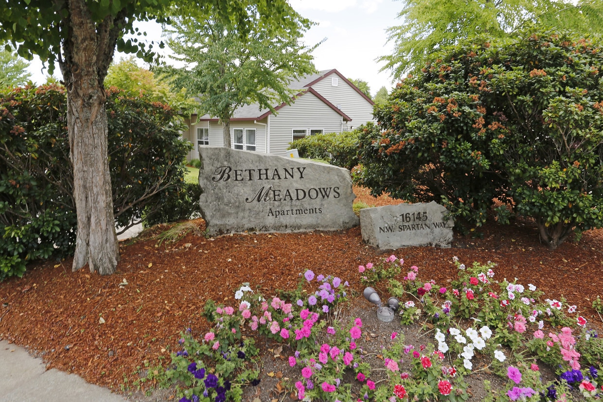 Primary Photo - Bethany Meadows