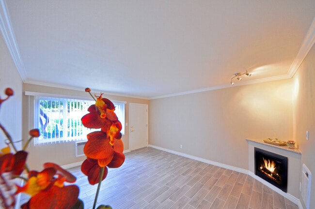 Building Photo - Walnut Grand