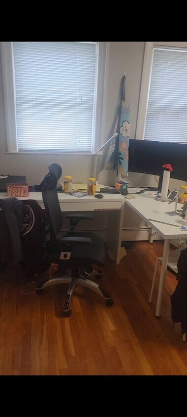 Building Photo - Amazing 1 Bed in Harvard Square available Now