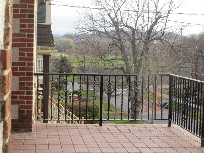 Balcón frontal abierto con vistas a Berry Park. - 411 Roosevelt Ave