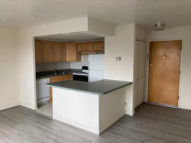 Kitchen and entry - 130 S 1300 E