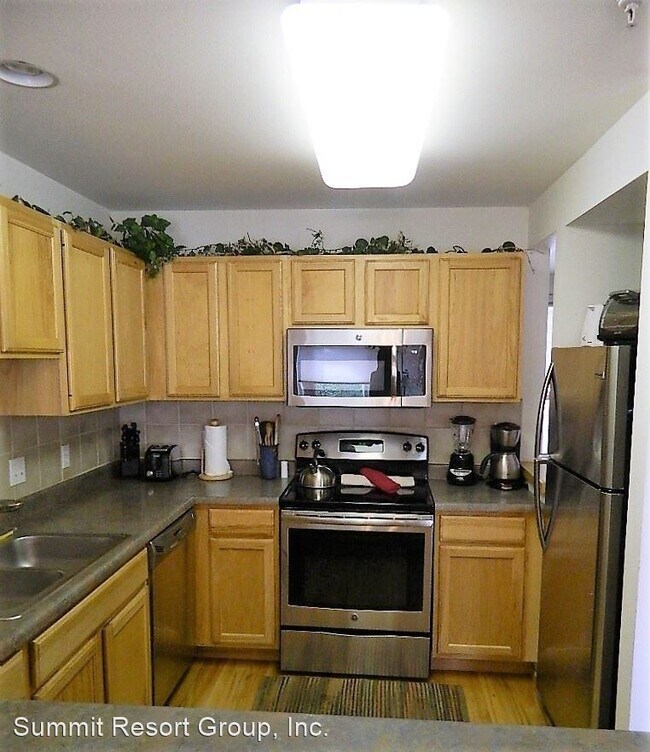 121 Cydney Ln, Silverthorne, CO 80498 House Rental in Silverthorne