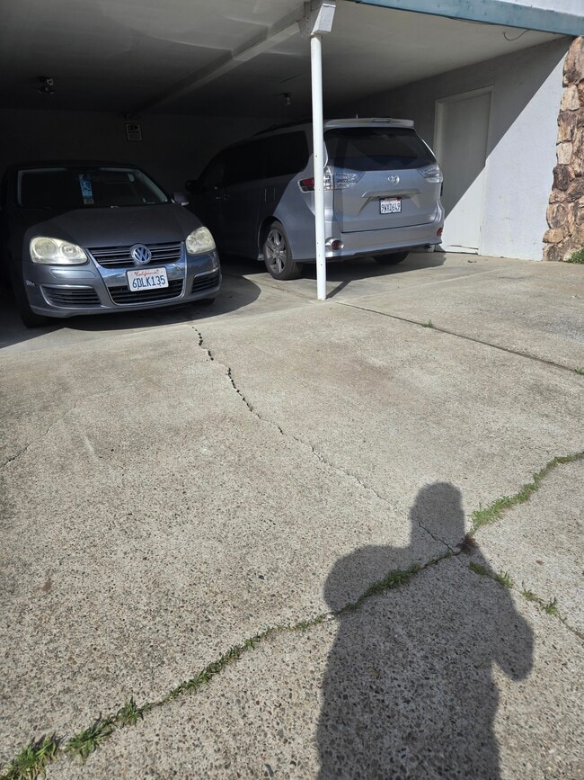 Foto del edificio - 2009 Pacheco Blvd