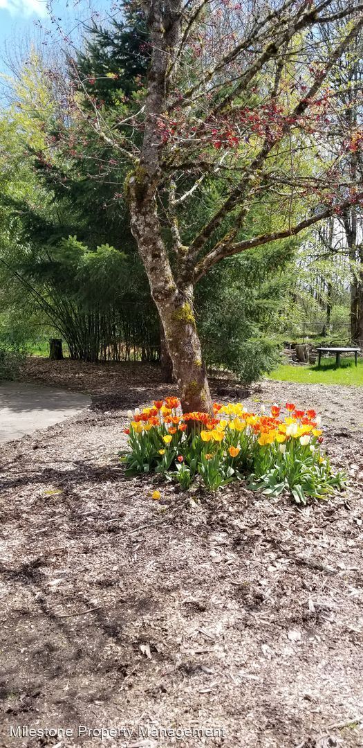 Foto del edificio - 5 br, 3.5 bath House - Battle Ground Devel...