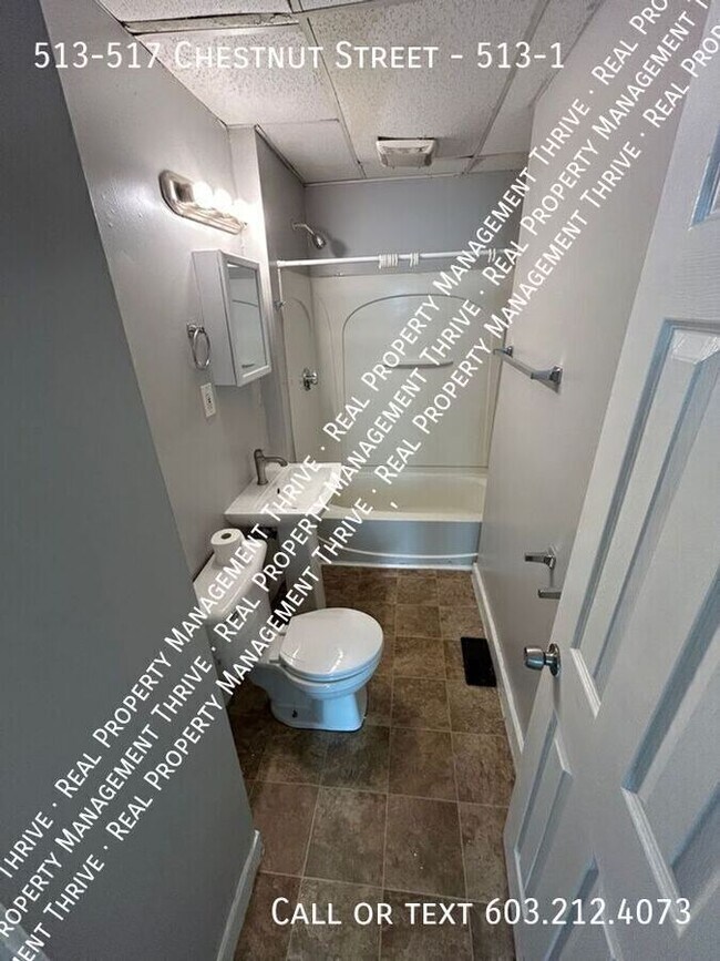 Building Photo - 513-517 Chestnut Street-513-1