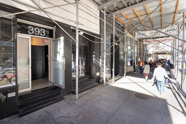 Entrance - 393 Broadway