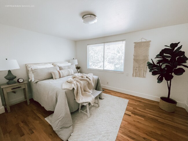 Foto del edificio - 2647 Dolphin Way