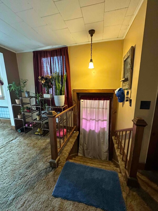 9002 Main St, Lisle, NY 13797 Room for Rent in Lisle, NY