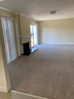 family room - 5145 Heavenly Ridge Ln